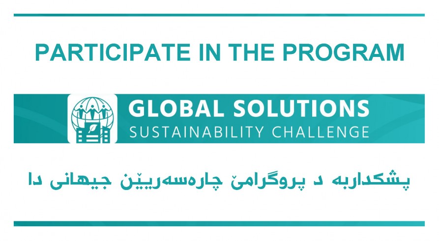 Participate in The Global Solutions Program
