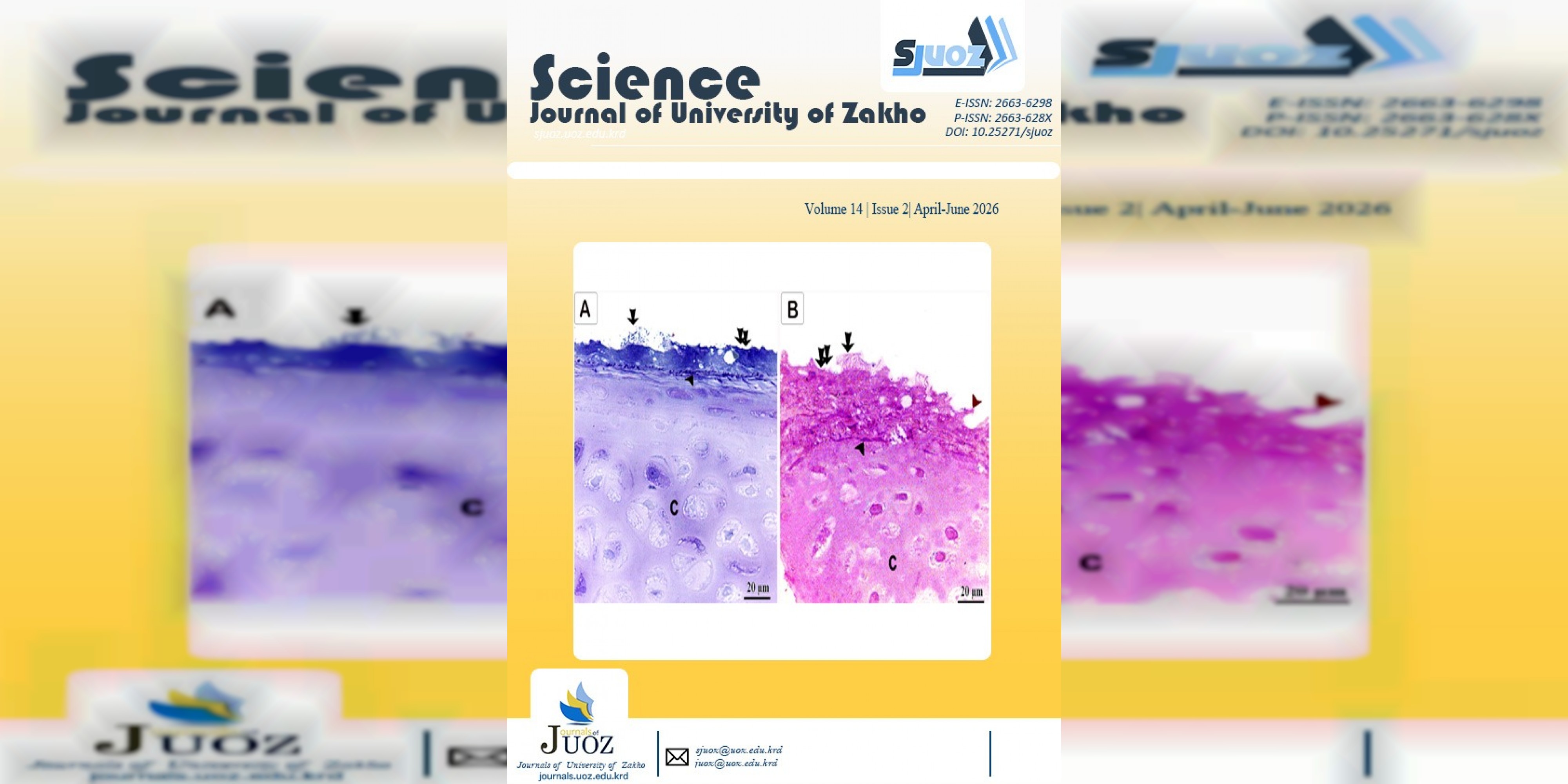 University of Zakho Publishes New Issue to Enhance the Academic Standing of Its Scientific Journal